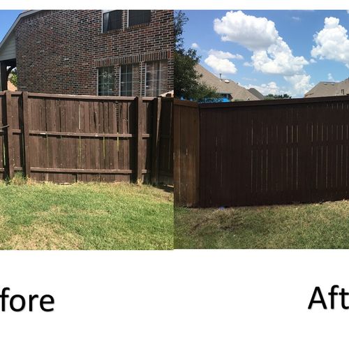 replaced fence and stained new fence