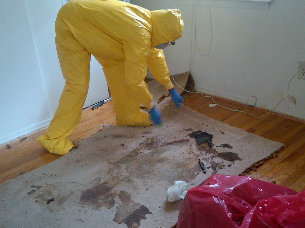 Trauma Scene Cleaning
