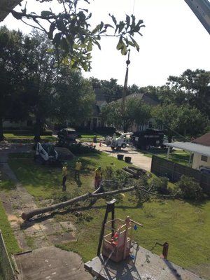 Louisiana Tree Company Aerial View