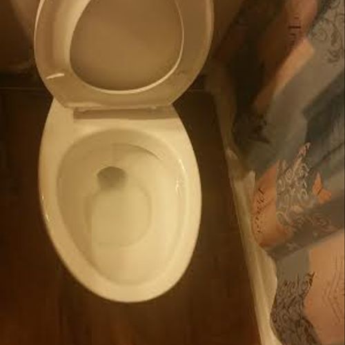Clean toilet!