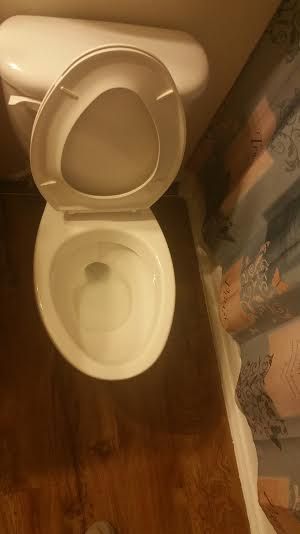 Clean toilet!