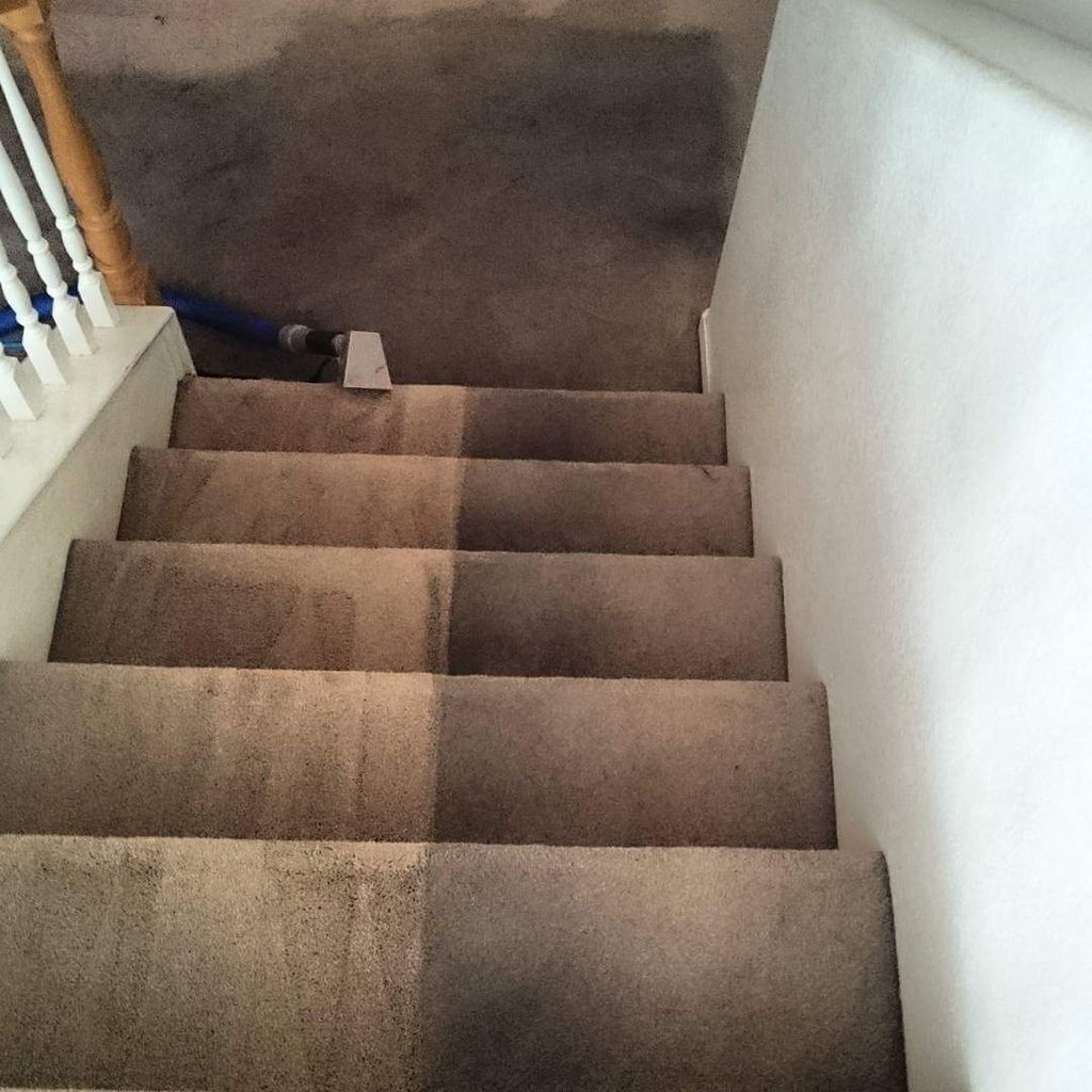 We clean carpets