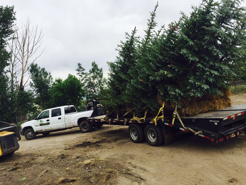 Willow Creek tree farm and landscaping