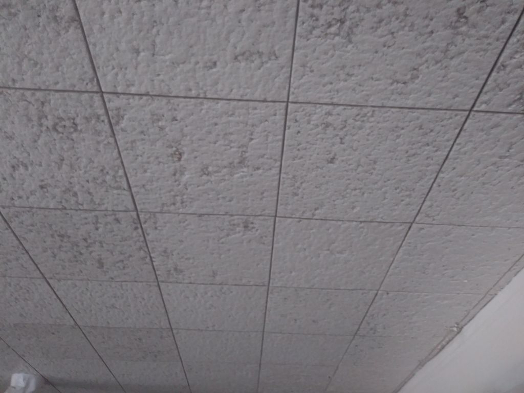 Painting- Acoustic Cieling paint ( Graco ProX17 tr