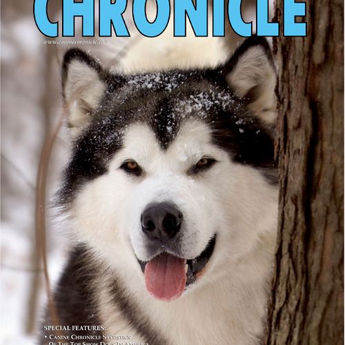 Cover | Canine Chroinicle