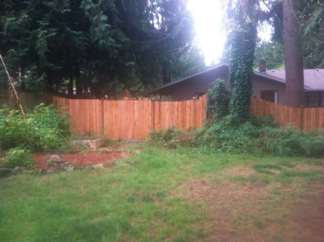 Custom wood/ cedar fence