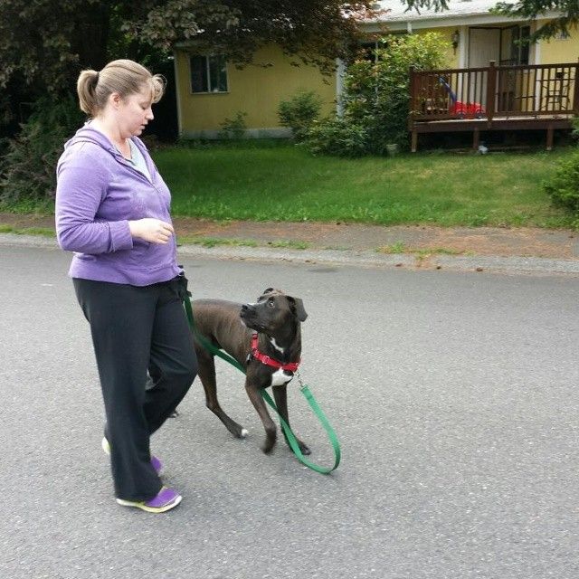 A little loose leash walking!