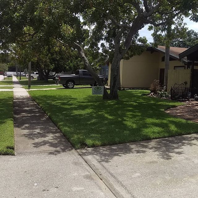 Another beautiful lawn, serviced by Upgraded Profe