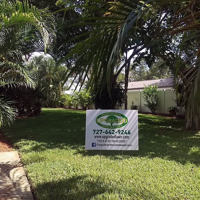 Another beautiful lawn, serviced by Upgraded Profe