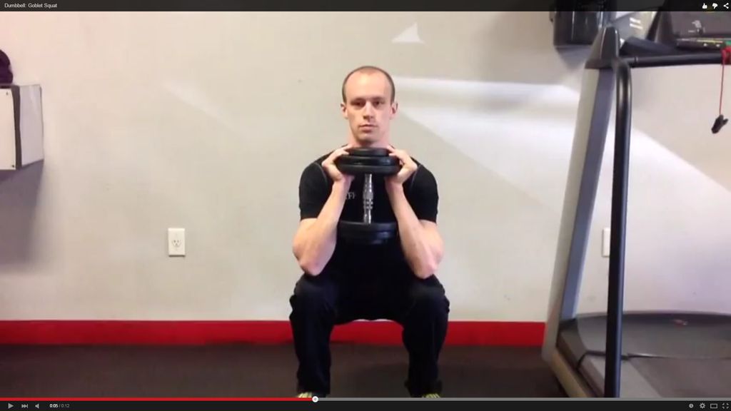 A shot of the one of the demonstration videos