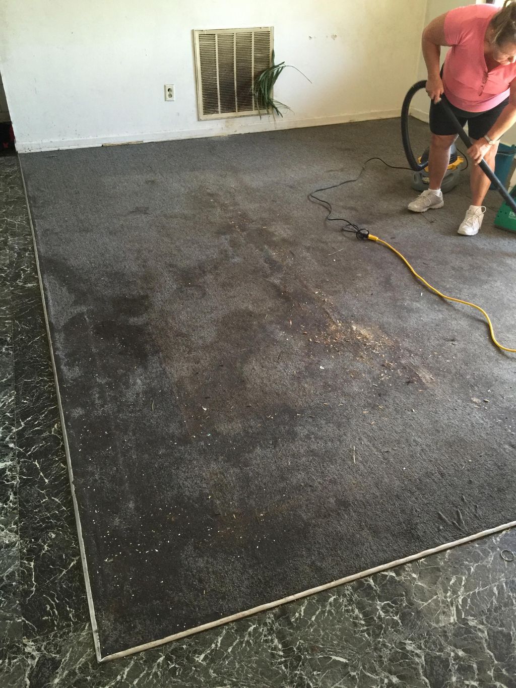Photo 1 (Before) -Lakeland area dirty carpet, befo