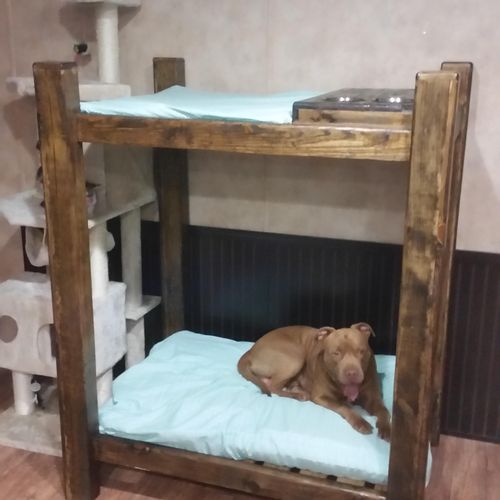 A client wanted a "cat & dog" bunk bed.  