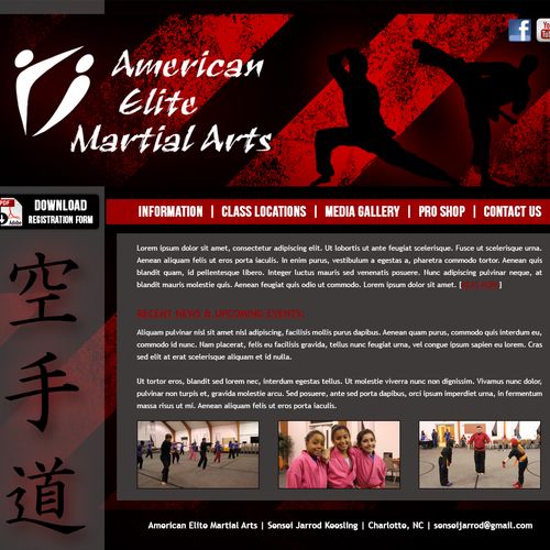 American Elite Martial Arts - Website Design, Deve