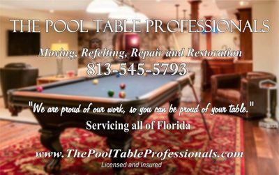 Avatar for The Pool Table Professionals