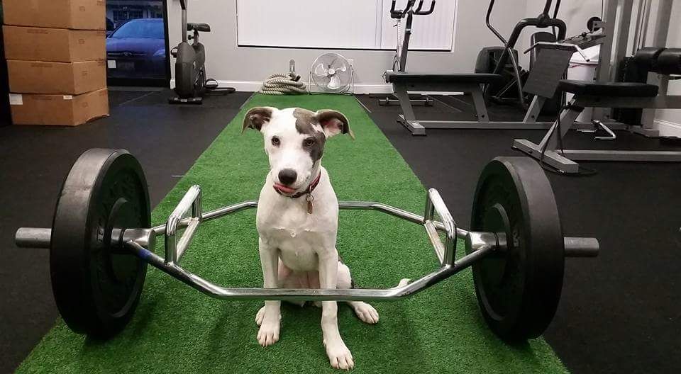 Going for a PR!