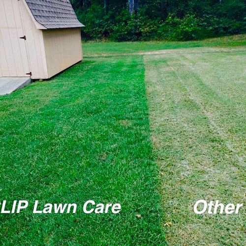 Clip Lawn Care TN knows how to make your lawn look