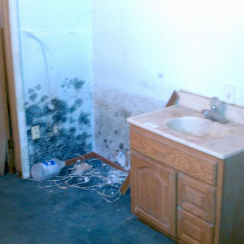 Mold growth in a bathroom due to a flood in the ba