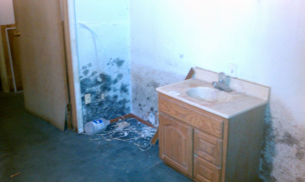 Mold growth in a bathroom due to a flood in the ba