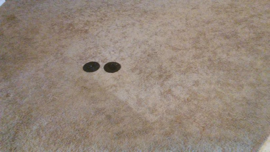 Carpet of a Living room before steam cleaning.