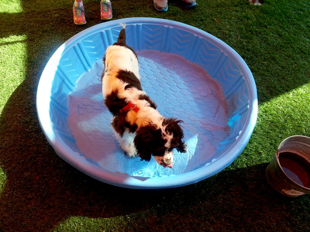 Exploration of a child's pool paired with positive