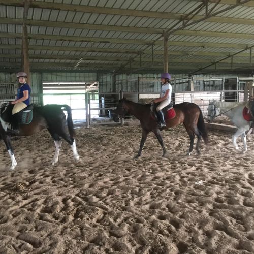 Students in a lesson  at Rosehill Farms 