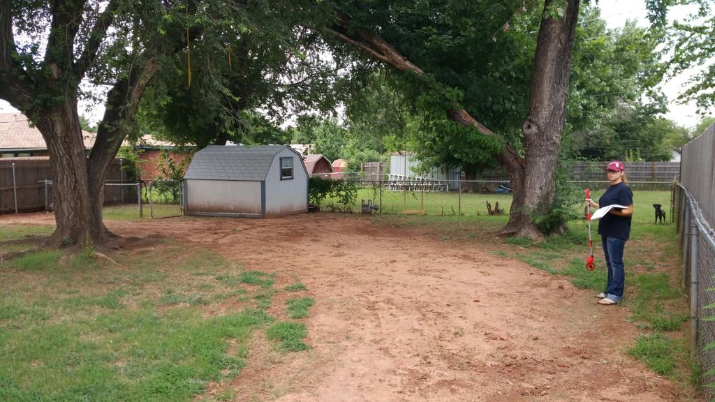 Before picture of backyard.