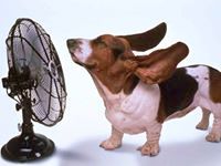 License To Chill Air Conditioning LLC.
