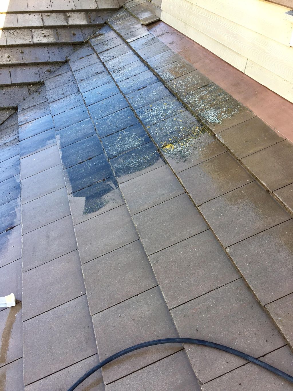 Roof cleaning 