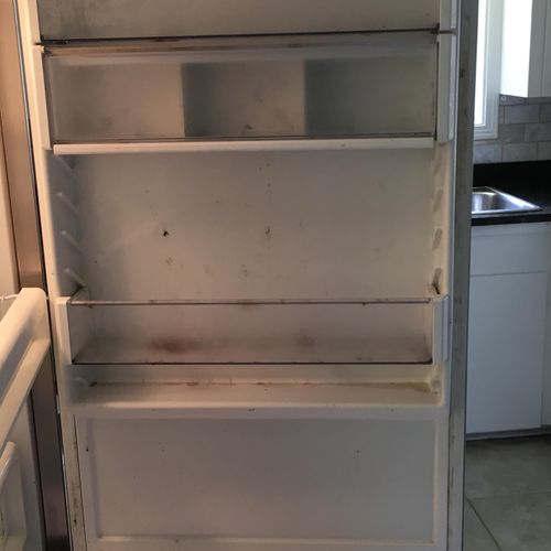 Refrigerator Before