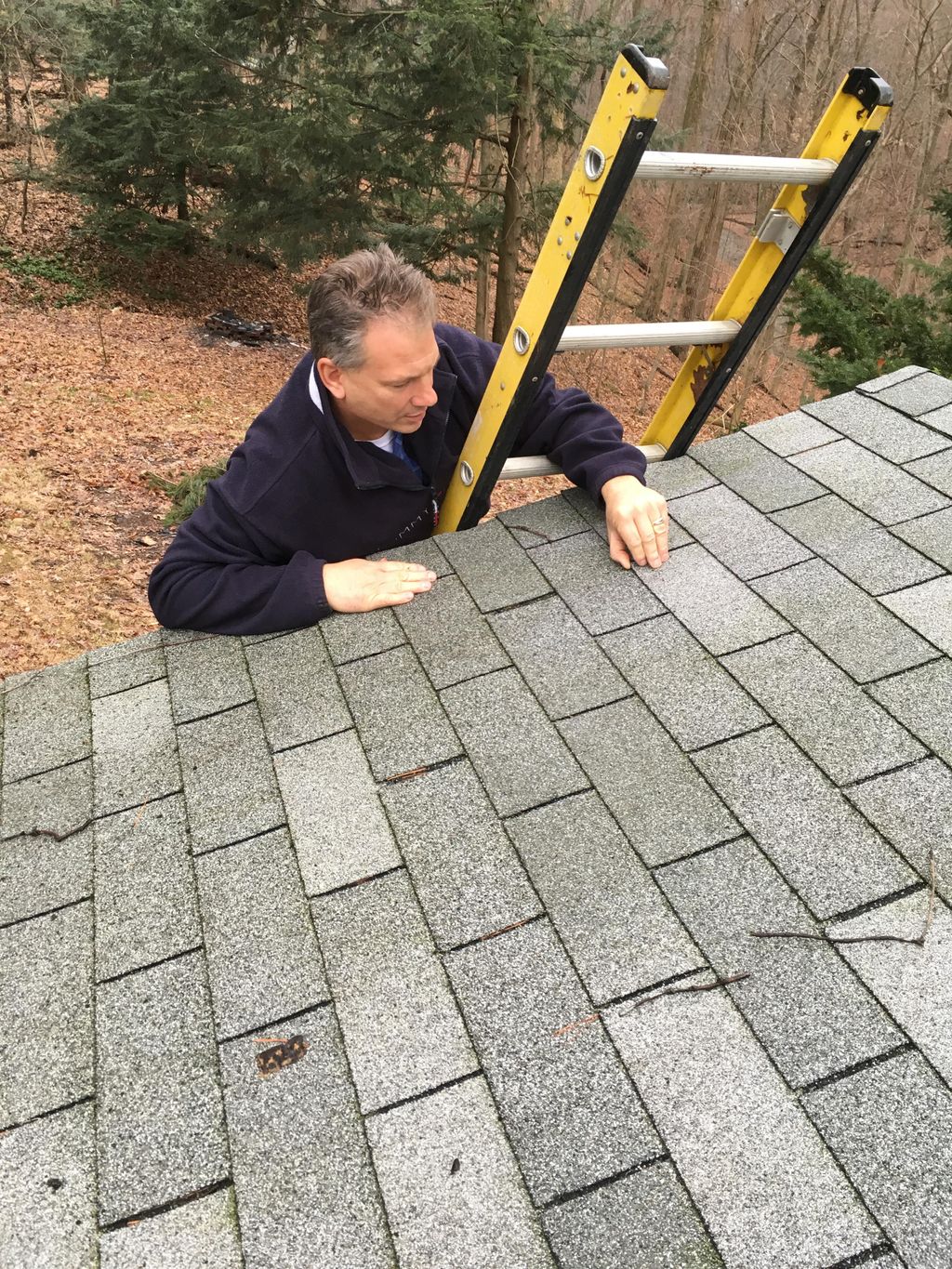 roof inspection and repair