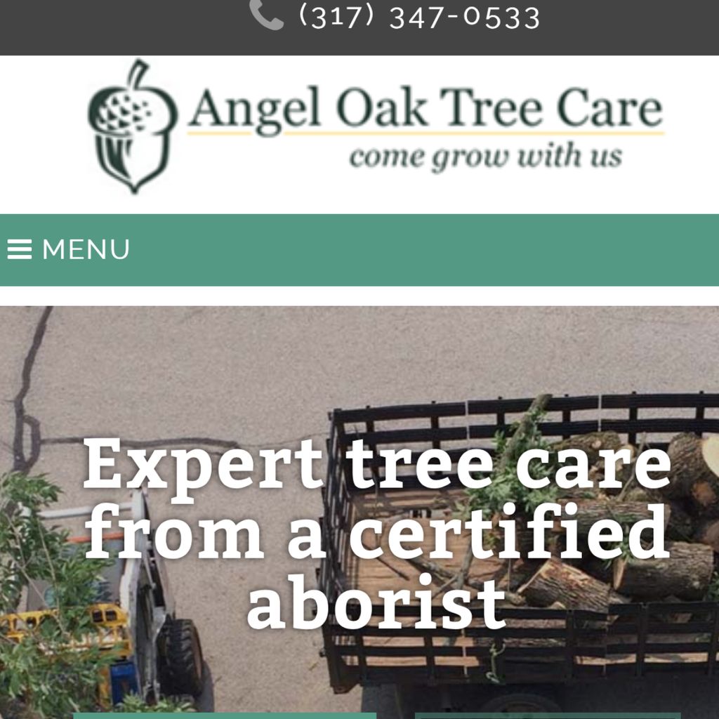 Angel Oak Tree Care