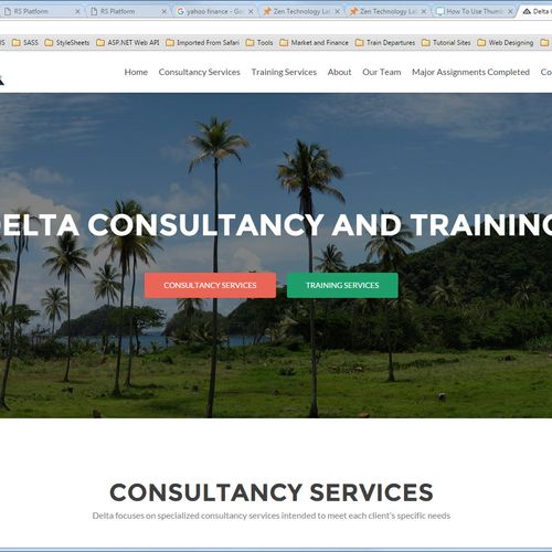 Delta Consulting Website