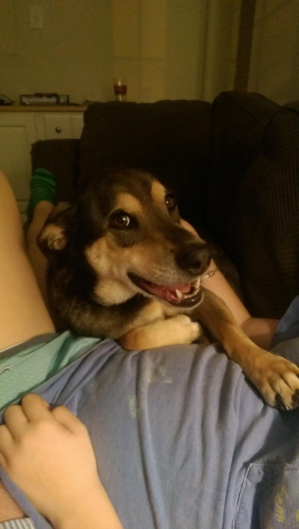 Watching this sweet girl for a few weeks!