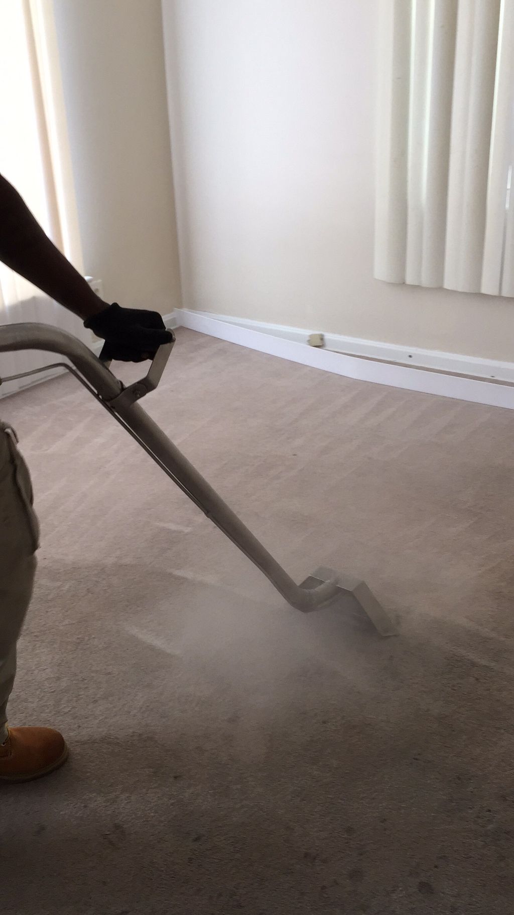 Mighty Mike's Carpet Cleaning and Janitorial Se...