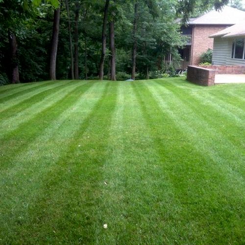 Just some mowing stripes, we offer a no contract m