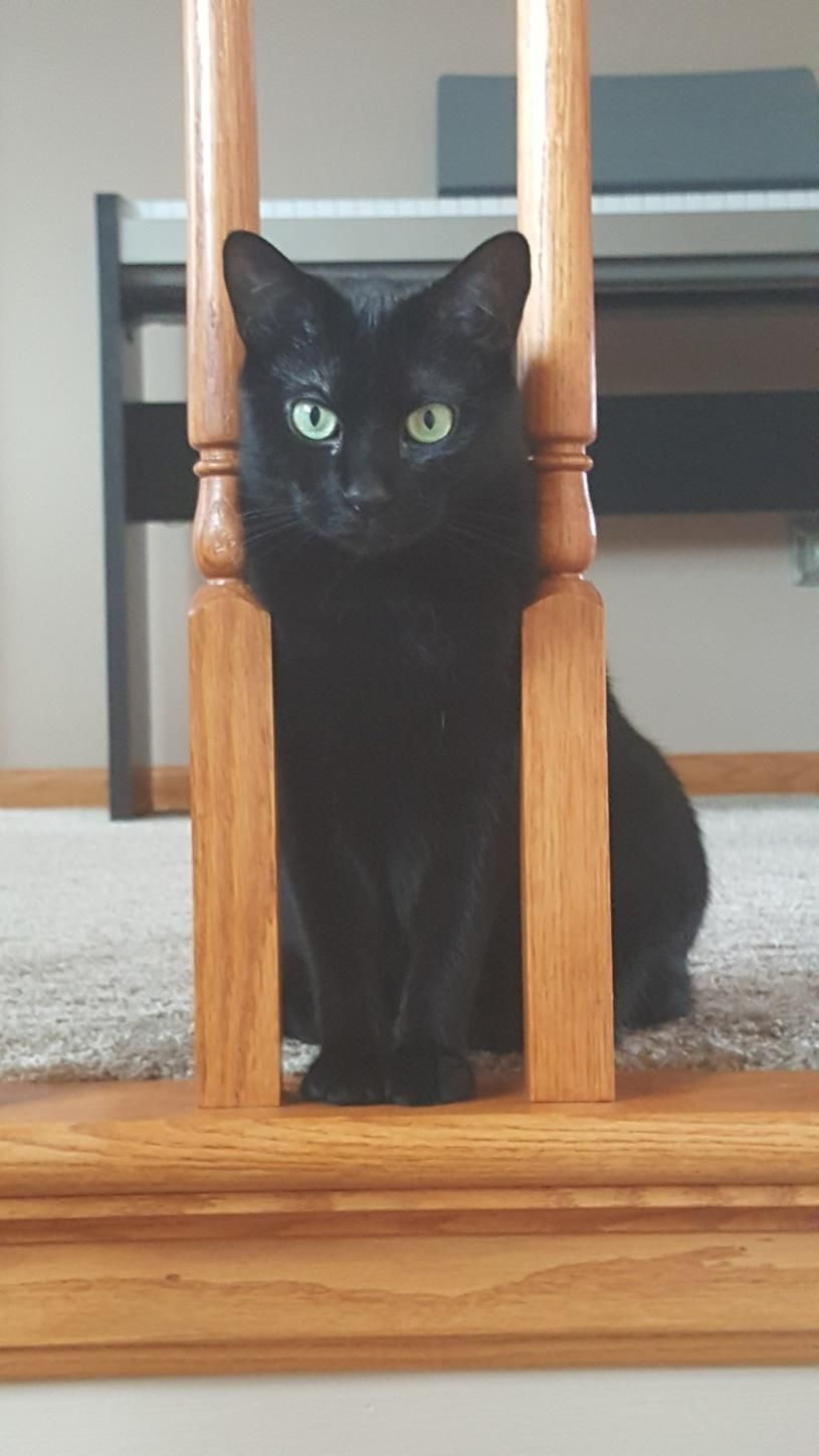 Beautiful Bella sitting pretty