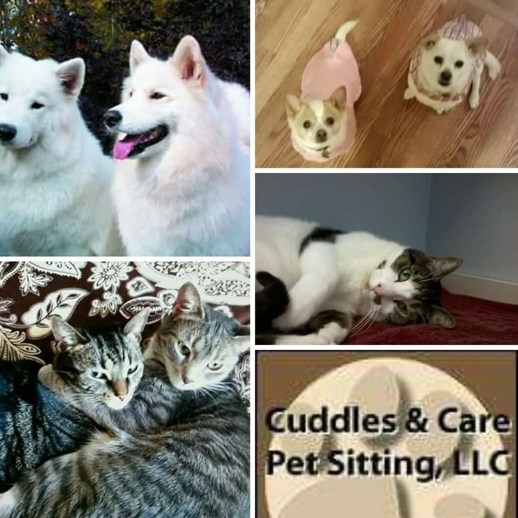 Cuddles & Care Pet Sitting Service, LLC