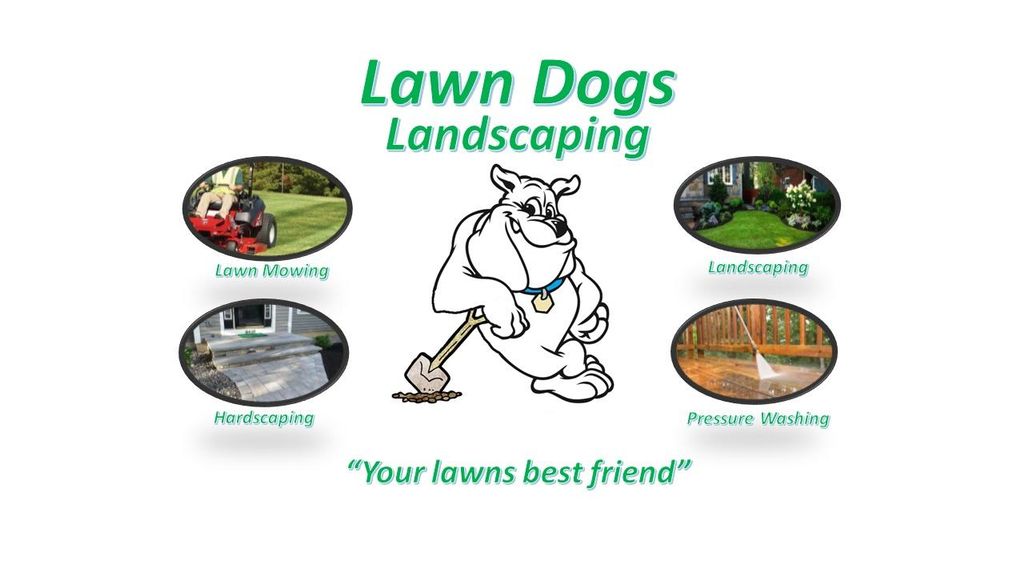 Lawn Dogs Of CNY          "Your Lawns Best Friend"