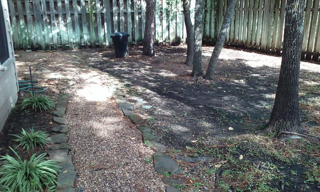 blank canvas (before photo)