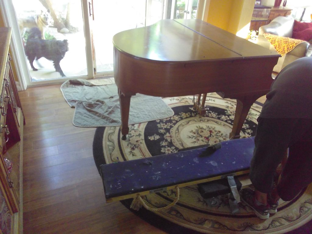 nobody does pianos better than Adam, 20years of mo