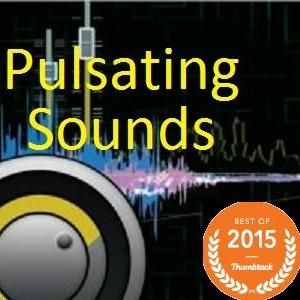 Pulsating Sounds DJ Entertainment
