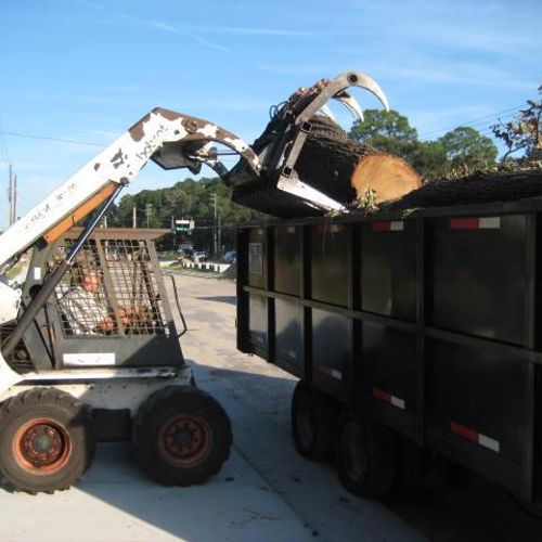 Land/Tree Clearing, Debris, Removal