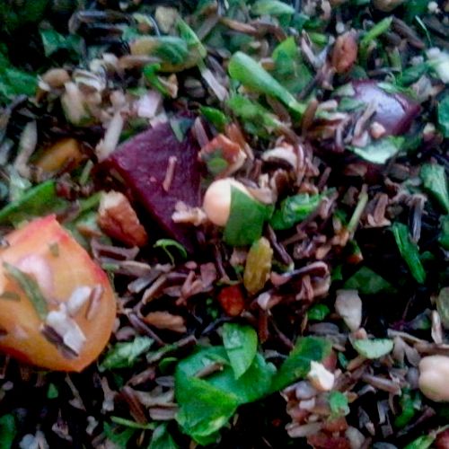 Wild Rice and beet salad with herb vinaigrette