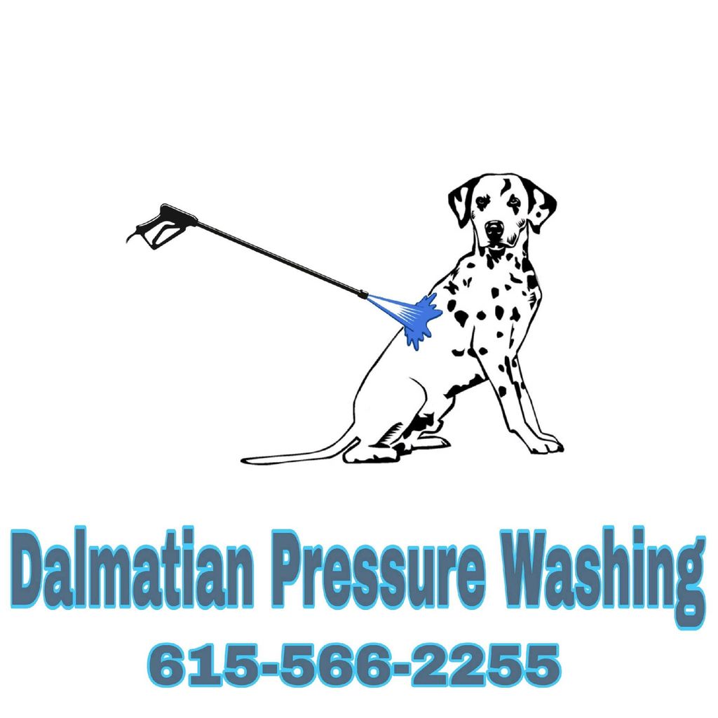 Dalmatian Pressure Washing
