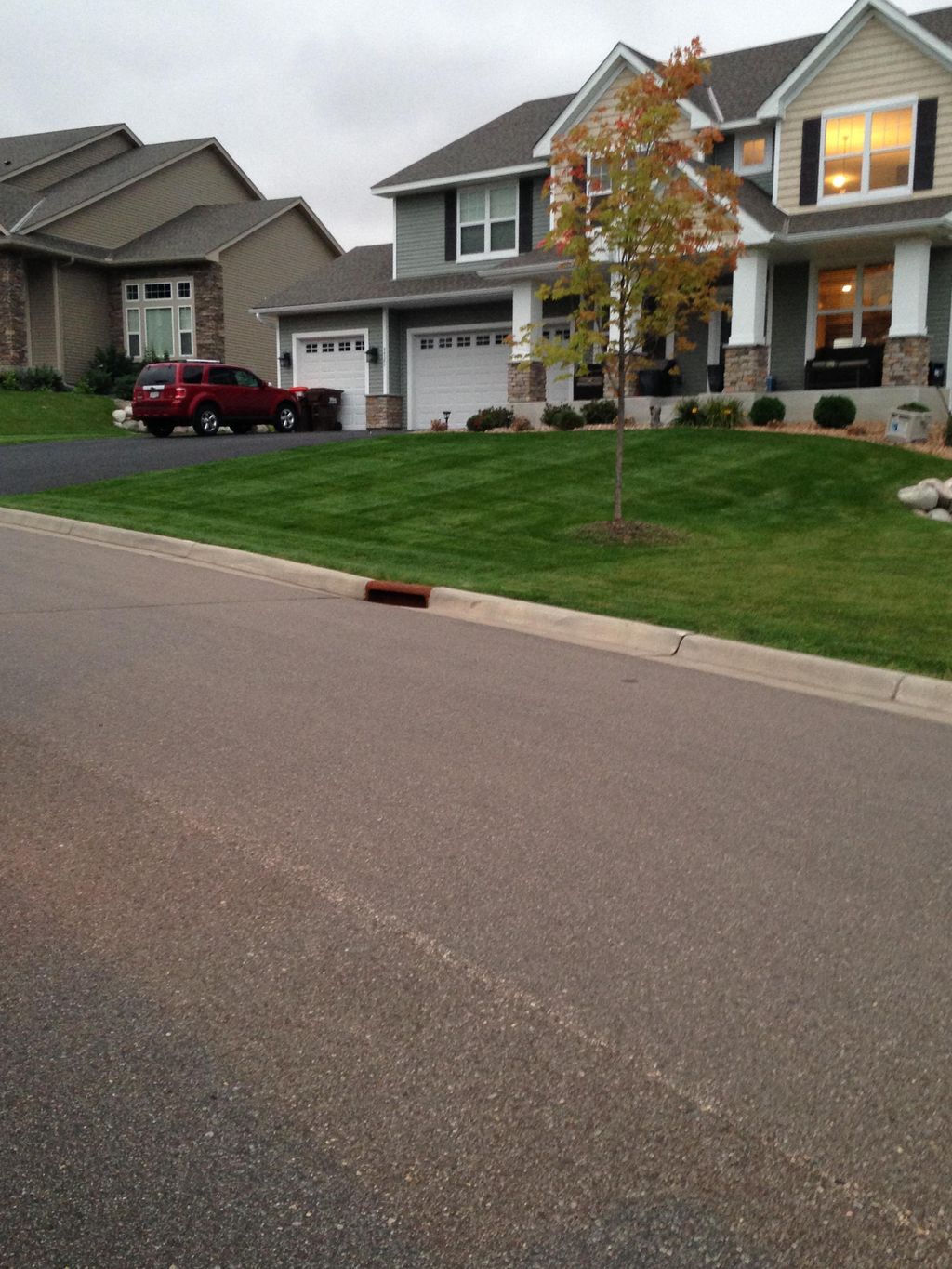 Mowing, Fertilizing and broadleaf weed control cus