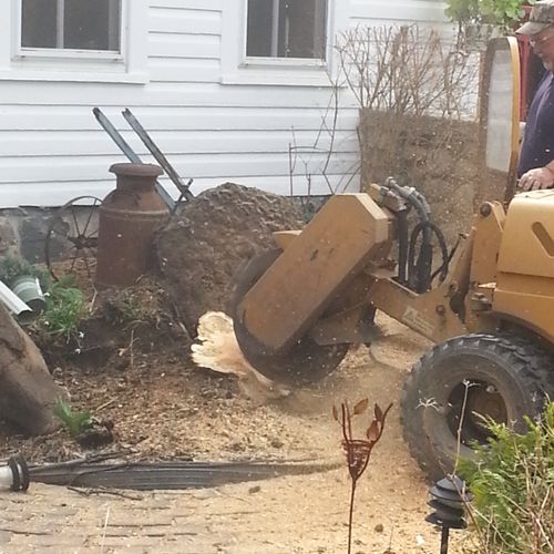 Stump grinding services!