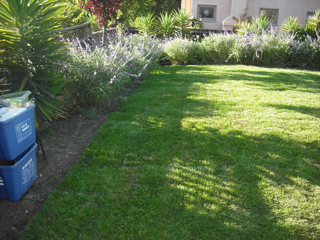 Sod instalation