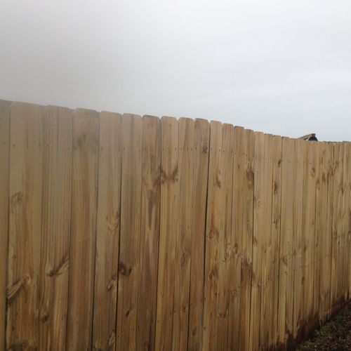 Fence was brought back to life!  Green mold and di