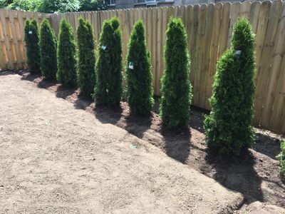 Avatar for Landscaping Image LLC