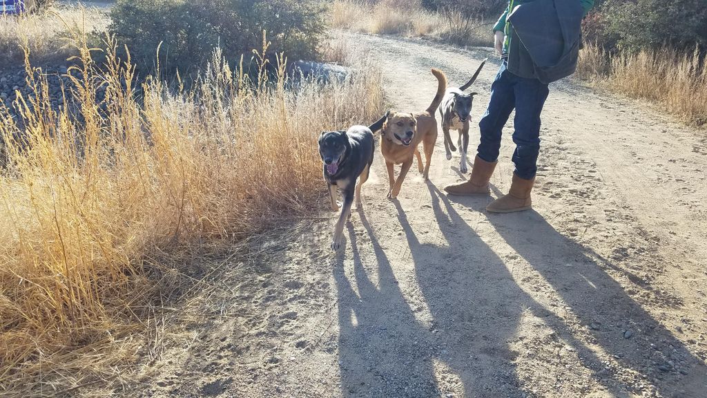 Christmas morning - holiday boarding crew out for 